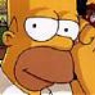 Homer1