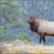 elkhunter62