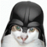thedarkrodent