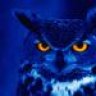 BlueOwl